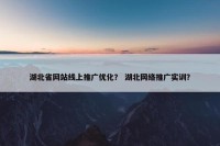 湖北省网站线上推广优化？ 湖北网络推广实训？