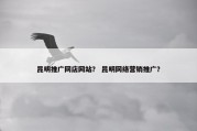 昆明推广网店网站？ 昆明网络营销推广？