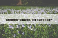 自助网站制作干花保存多久，制作干花放在什么地方
