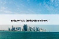 老域名seo优化（老域名对排名有影响吗）