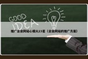 推广企业网站心细火23星（企业网站的推广方案）
