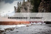 菏泽比较好网站设计优化？ 菏泽效果图设计？
