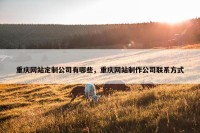 重庆网站定制公司有哪些，重庆网站制作公司联系方式