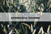 抚州市网站开发公司（抚州本地网站）