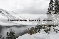 专业公司网站建设推广（专业企业推广网站设计）