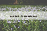 西安网站开发一薇，西安网站开发电话