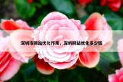 深圳市网站优化作用，深圳网站优化多少钱