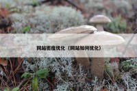网站密度优化（网站如何优化）
