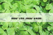 网络推广公司招（网络推广业务招聘）