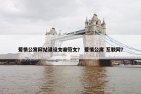 爱情公寓网站建设文案范文？ 爱情公寓 互联网？