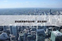 武松网页制作设计师？ 武松官网？
