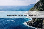 芜湖公司网站优化系统？ 芜湖十大网络公司？