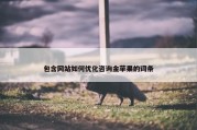 包含网站如何优化咨询金苹果的词条