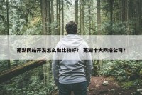 芜湖网站开发怎么做比较好？ 芜湖十大网络公司？