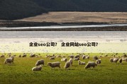 企业seo公司？ 企业网站seo公司？