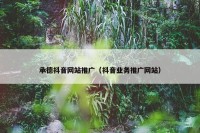 承德抖音网站推广（抖音业务推广网站）