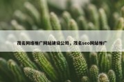 茂名网络推广网站建设公司，茂名seo网站推广