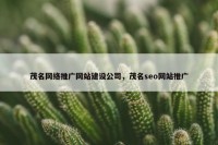 茂名网络推广网站建设公司，茂名seo网站推广