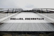 武侯区seo排名，武侯区有哪些平台公司