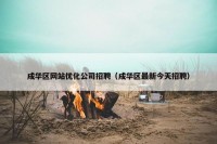 成华区网站优化公司招聘（成华区最新今天招聘）