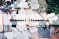 芦苞营销网站开发，芦苞营销网站开发方案