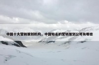 中国十大营销策划机构，中国知名的营销策划公司有哪些