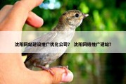 沈阳网站建设推广优化公司？ 沈阳网络推广建站？