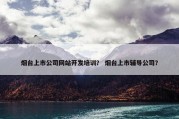 烟台上市公司网站开发培训？ 烟台上市辅导公司？