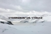 辽宁高级网站建设推广公司，辽宁网址大全