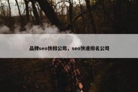 品牌seo快排公司，seo快速排名公司
