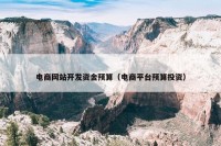 电商网站开发资金预算（电商平台预算投资）
