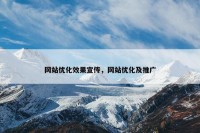 网站优化效果宣传，网站优化及推广