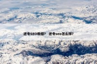 逆冬SEO教程？ 逆冬seo怎么样？