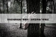 深圳高端网站推广哪里好（深圳全网推广哪里好）