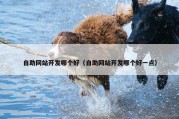 自助网站开发哪个好（自助网站开发哪个好一点）