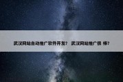 武汉网站自动推广软件开发？ 武汉网站推广很 棒？
