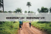 湖南整站网站推广工具？ 湖南整站网站推广公司？