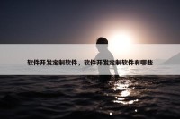 软件开发定制软件，软件开发定制软件有哪些