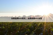 太原品牌seo优化，太原高级seo主管