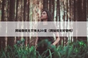 网站做优化只有火20星（网站优化好做吗）