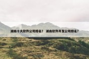 湖南十大软件公司排名？ 湖南软件开发公司排名？