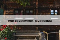 怎样联系网站建设专业公司，网站建设公司咨询