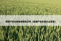 房地产优化网站有哪些公司（房地产优化是什么意思）