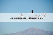 手机端网站优化排名，手机网站优化策划