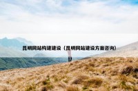 昆明网站构建建设（昆明网站建设方案咨询）