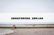 宜春网站开发哪家靠谱，宜春网上商城