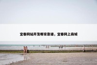宜春网站开发哪家靠谱，宜春网上商城
