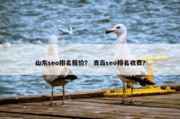 山东seo排名报价？ 青岛seo排名收费？