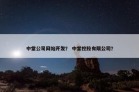 中堂公司网站开发？ 中堂控股有限公司？