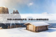 外贸b2b移动网站开发（外贸b2c商城网站建设）